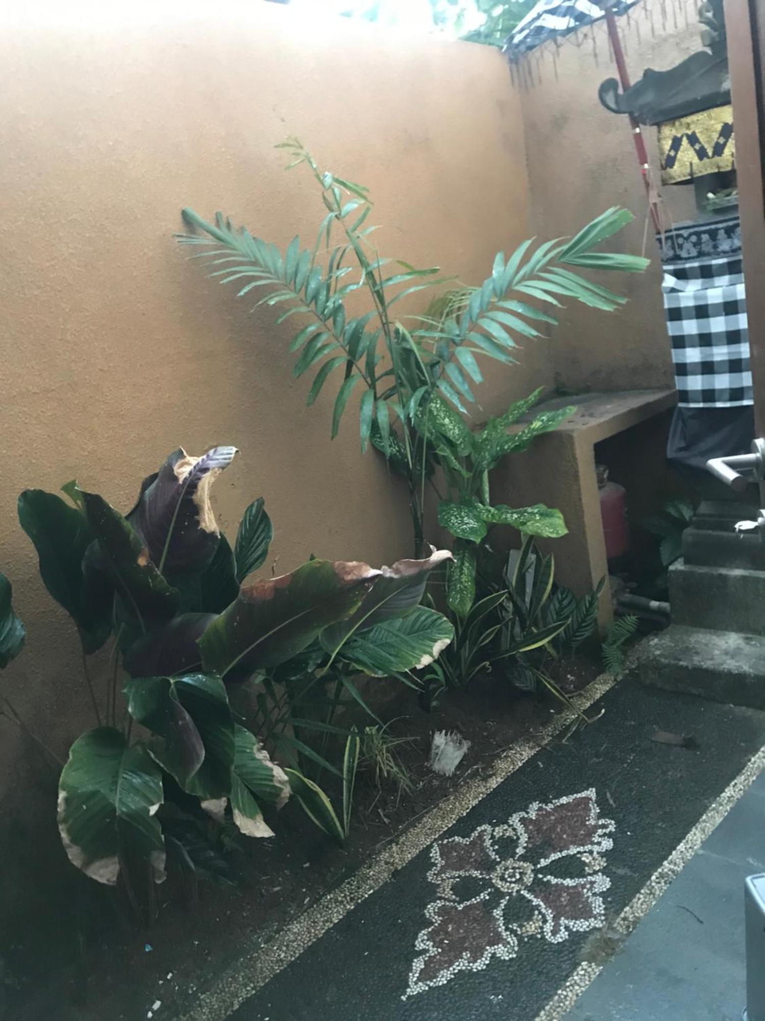 Villa Griya Harum サヌール エクステリア 写真